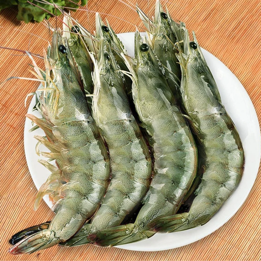 5斤海捕大虾13-16公分海水虾 大虾白对虾速冻锁鲜大虾4+1斤A