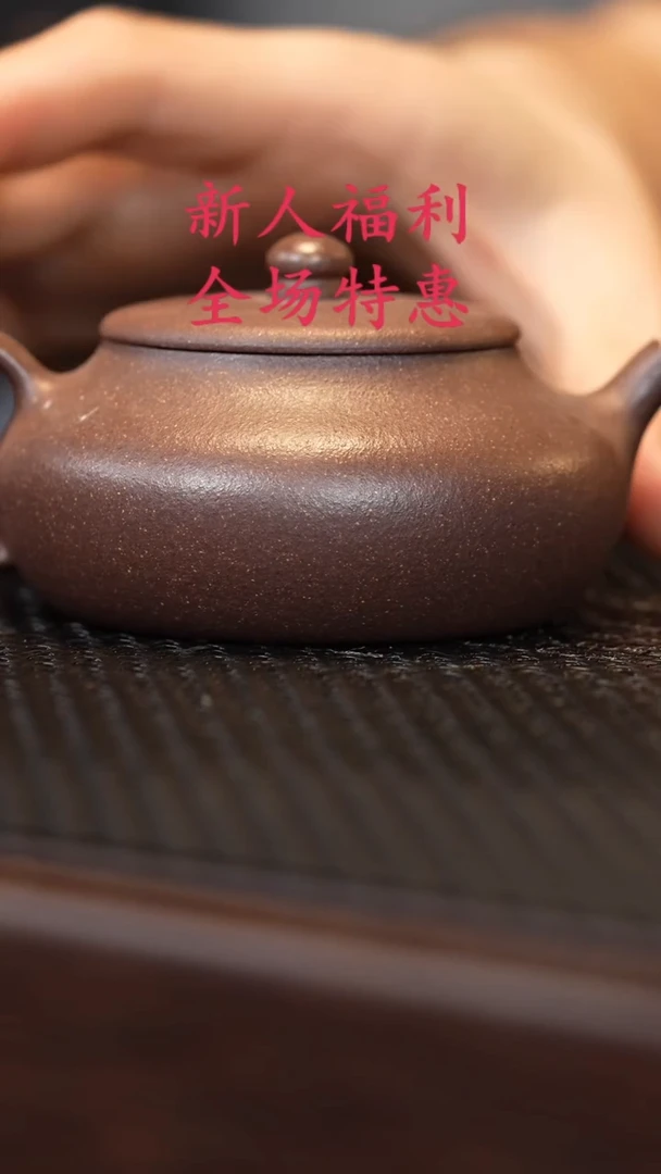 茶壶紫砂源头精品手工作品5310