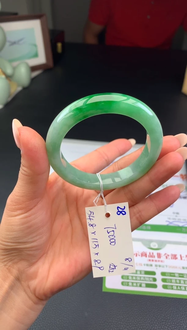 未镶嵌手镯翡翠假一赔三 手镯