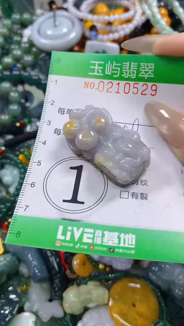 颈饰未镶嵌翡翠闪购0210529