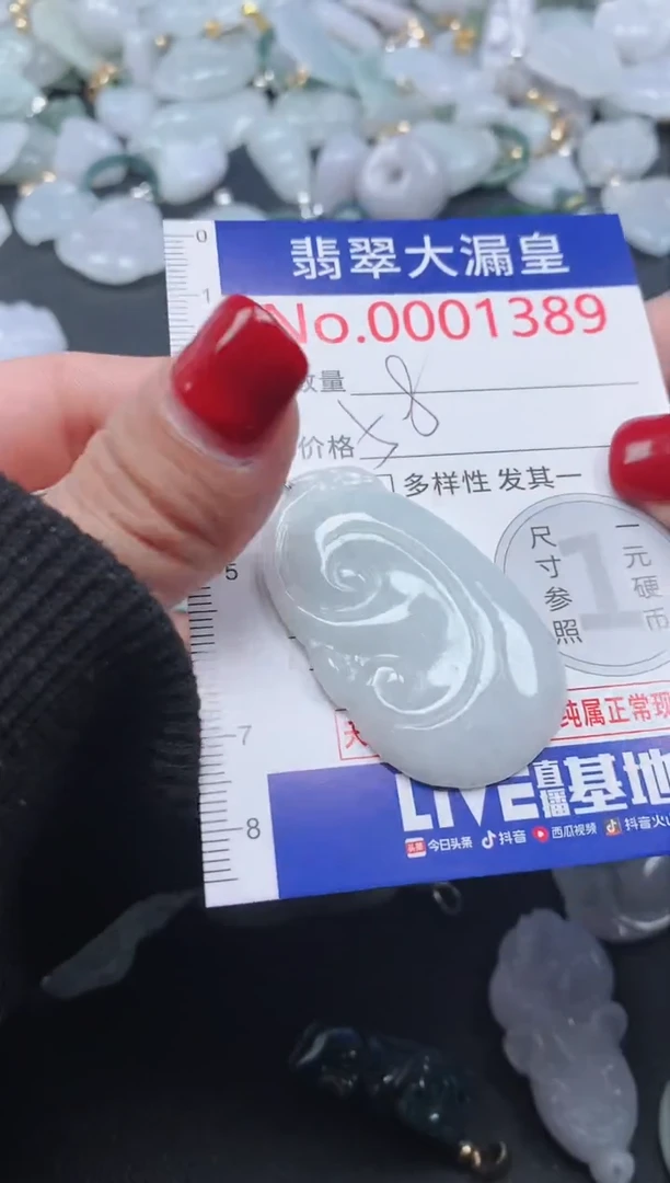 颈饰未镶嵌翡翠1389