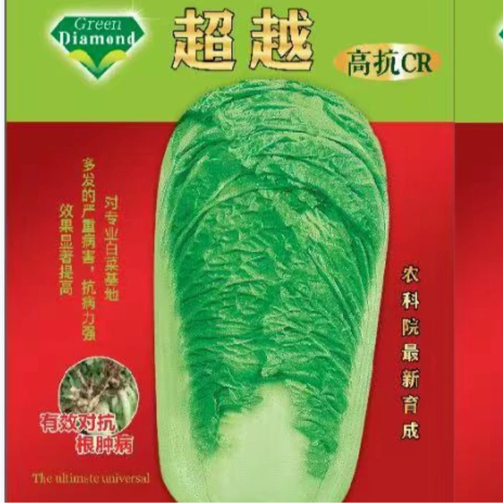 CR超越 上心快、综合抗性强、耐储运、对根肿病有拮抗作用。