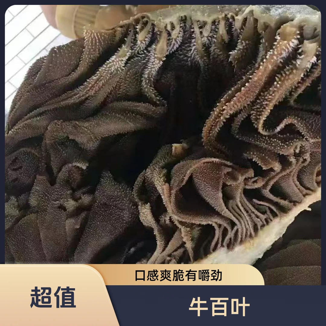 牛百叶（带底板）已经清水洗过，回家下锅前还得洗一洗