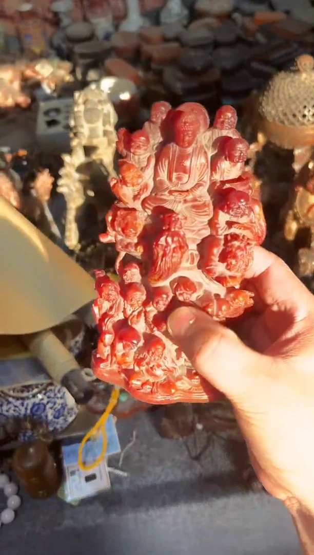 黄杨木11111111111111111111