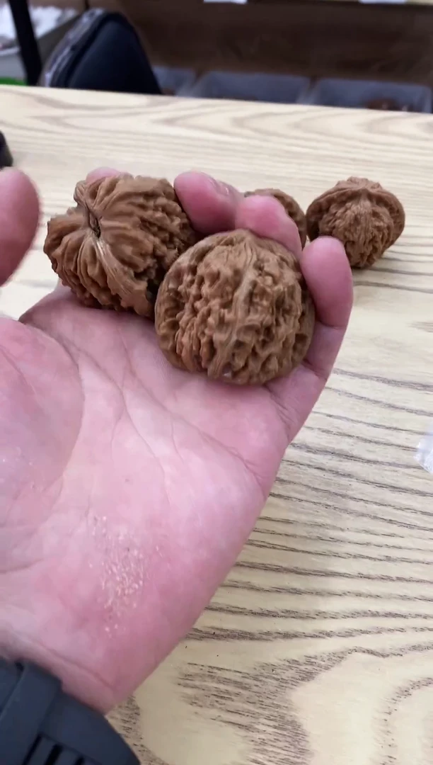 把件核桃#433748楼子福利