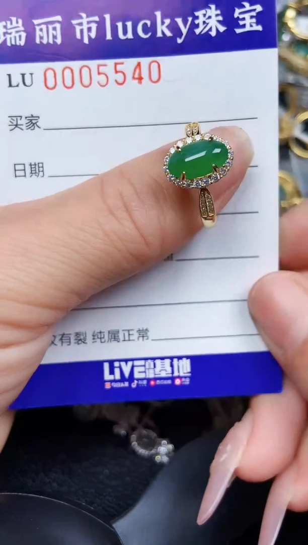 翡翠银S925镶嵌颈饰5540