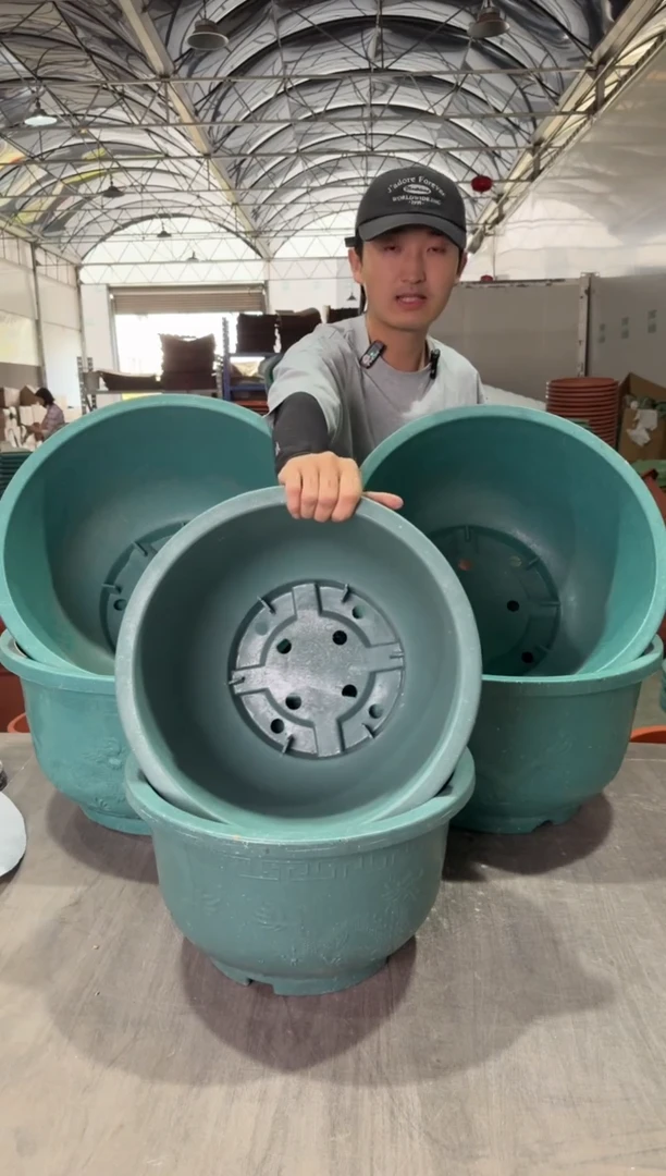 50铝塑龙盆2，40铝塑龙盆1绿色有孔