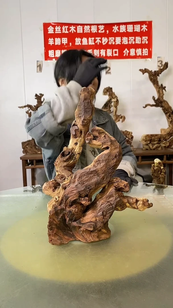 木阿*金丝红木  羊蹄甲