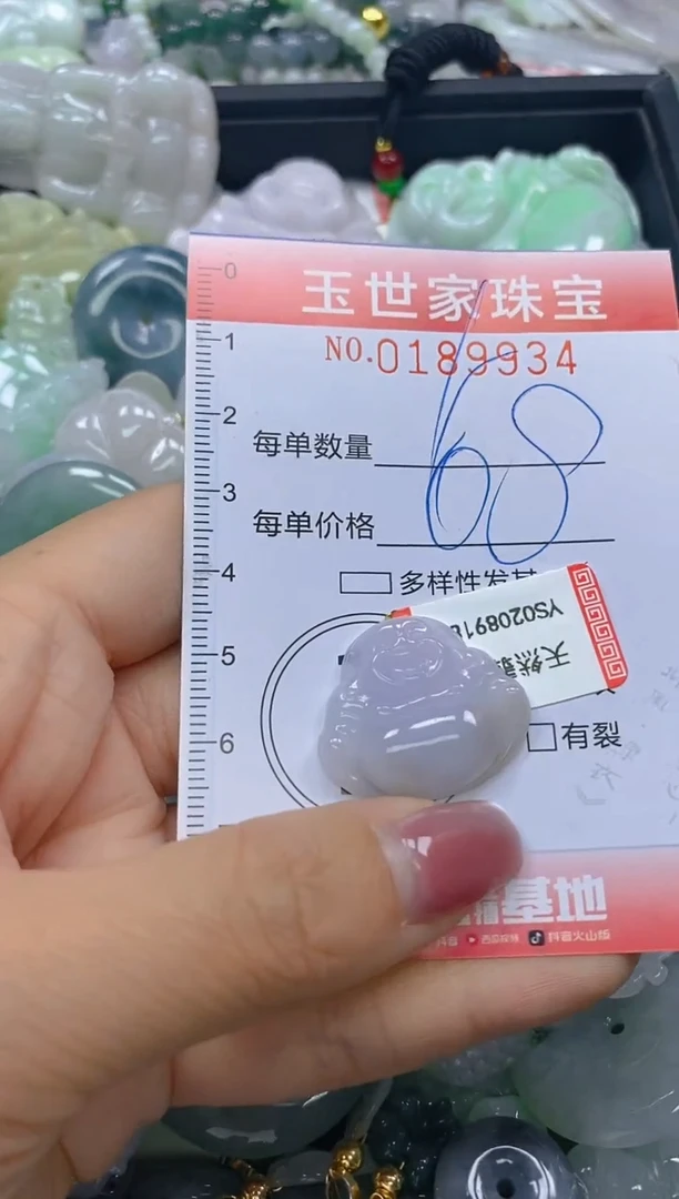 【闪购商品】翡翠颈饰未镶嵌闪购0189934