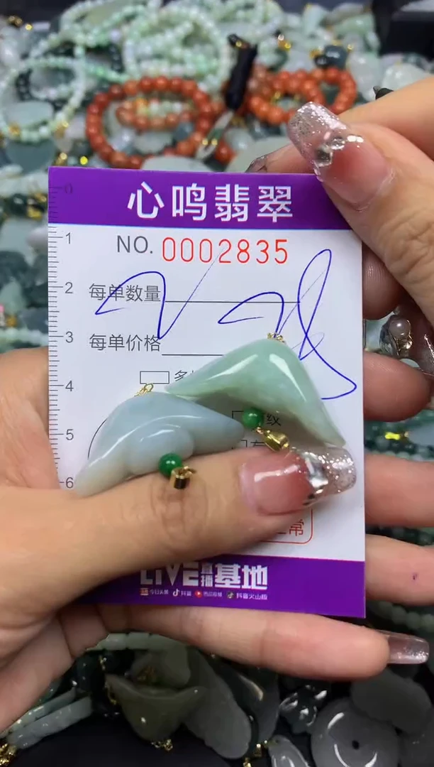 【闪购商品】翡翠颈饰未镶嵌闪购002835