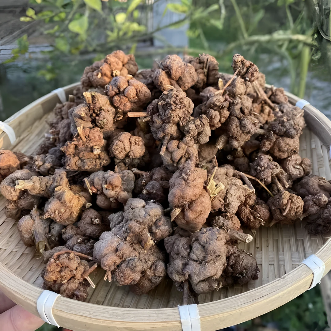 高山高海拔【清留果】500g精选山货