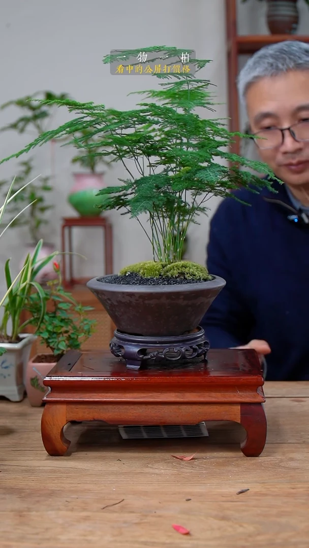 完全开放Y**?文竹127