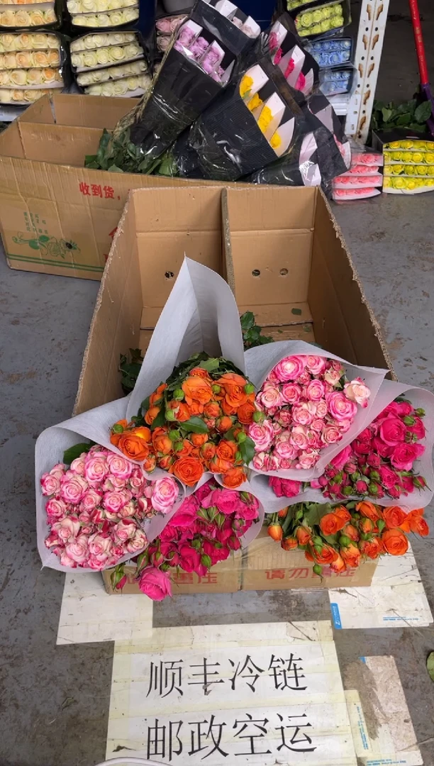 折射10枝+橙色芭比10枝+苏菲10枝