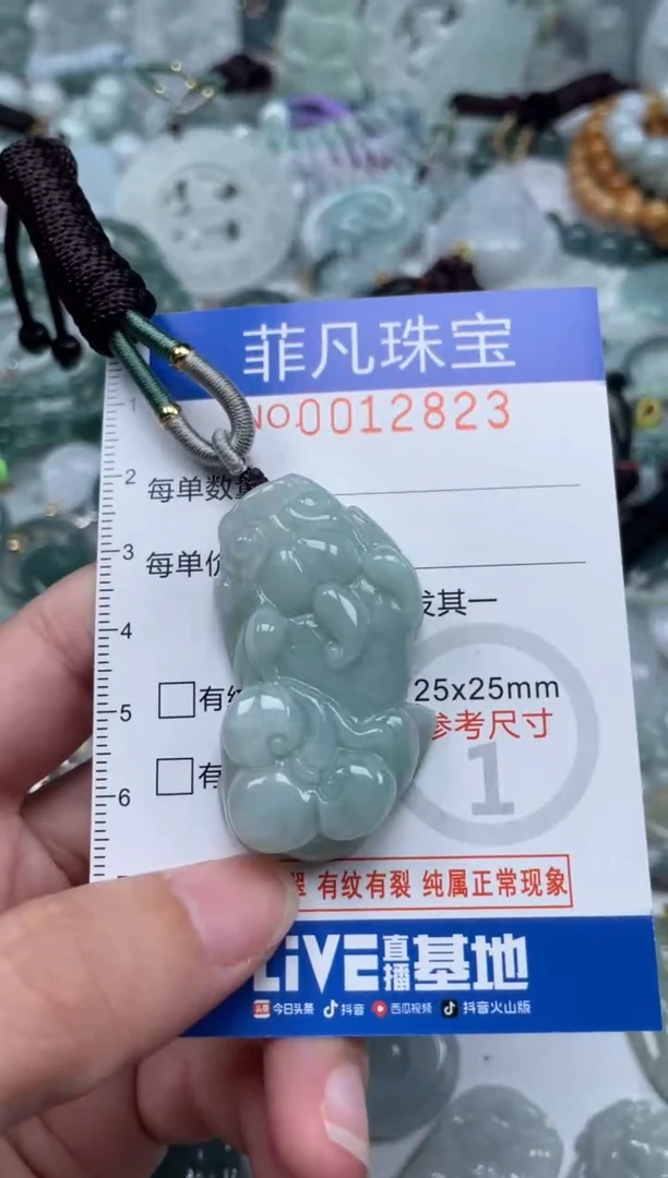 颈饰未镶嵌翡翠12823