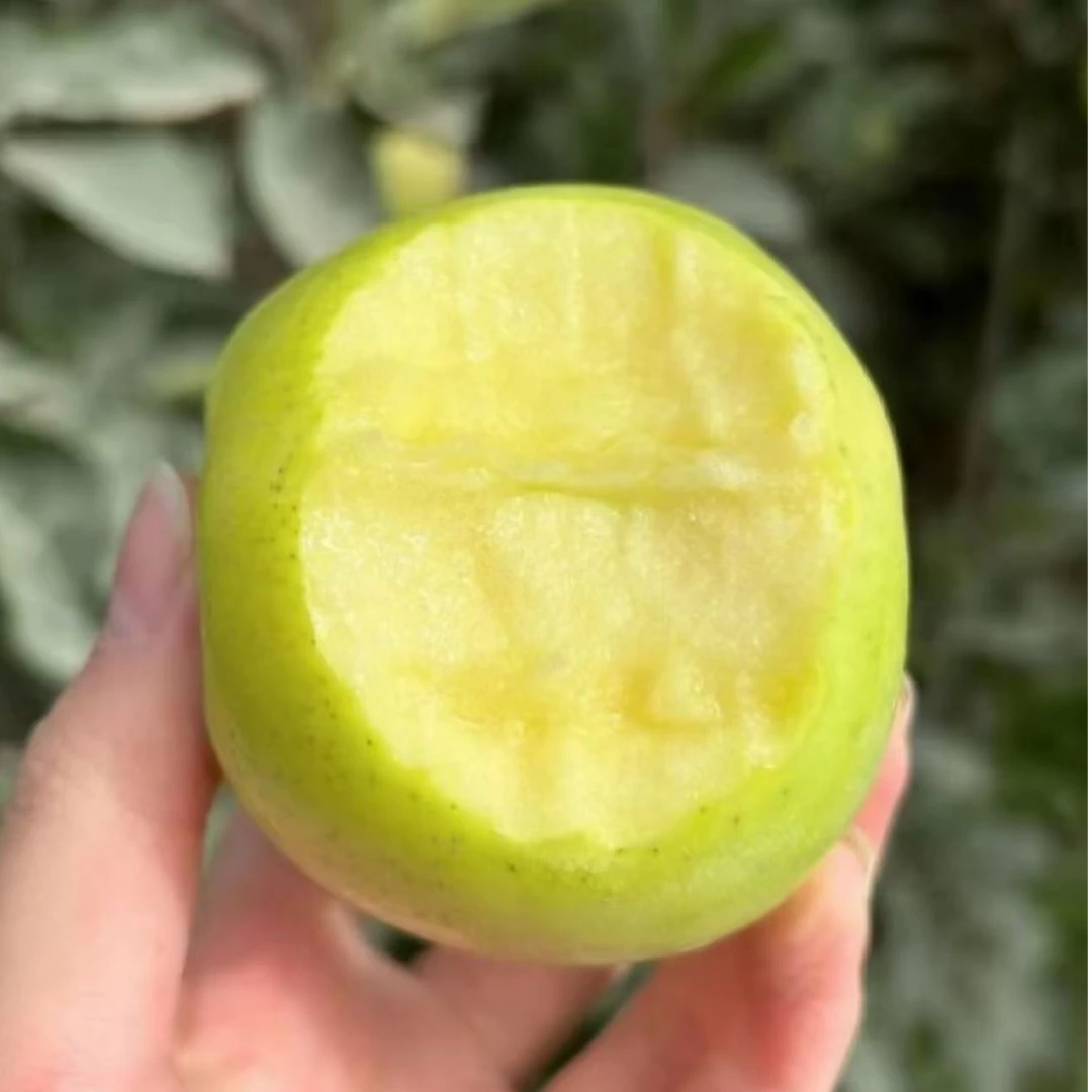 【顺丰包邮】田茂庄园青蜜苹果爆汁香甜苹果 毛4斤左右（江浙沪皖)