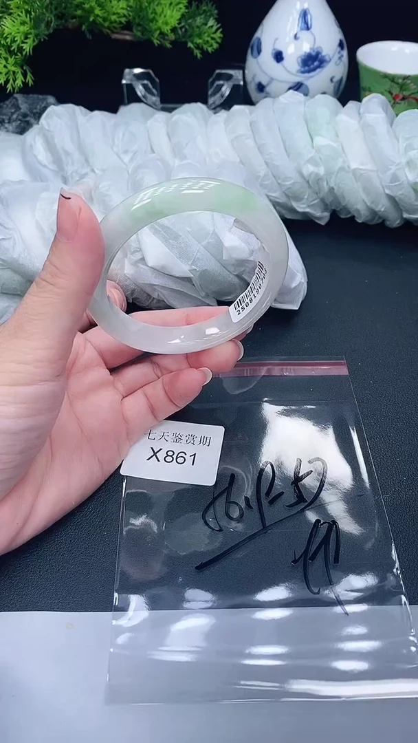 未镶嵌手镯翡翠861