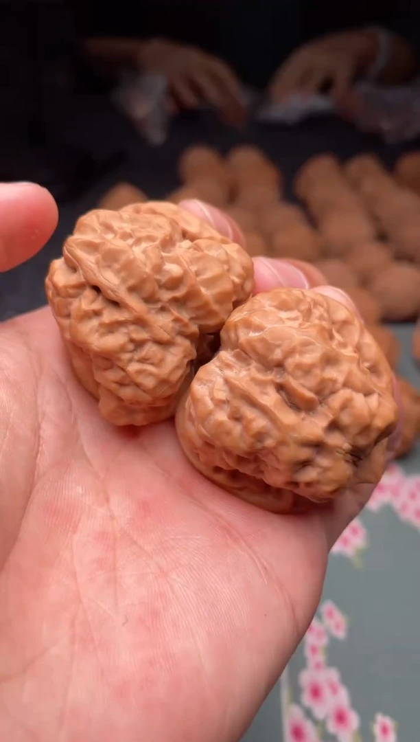 核桃a43  蛤蟆头 39尺