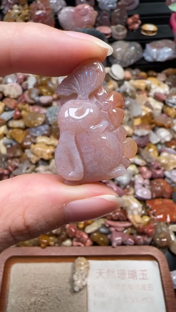 颈饰未镶嵌硅化珊瑚（珊瑚玉）645