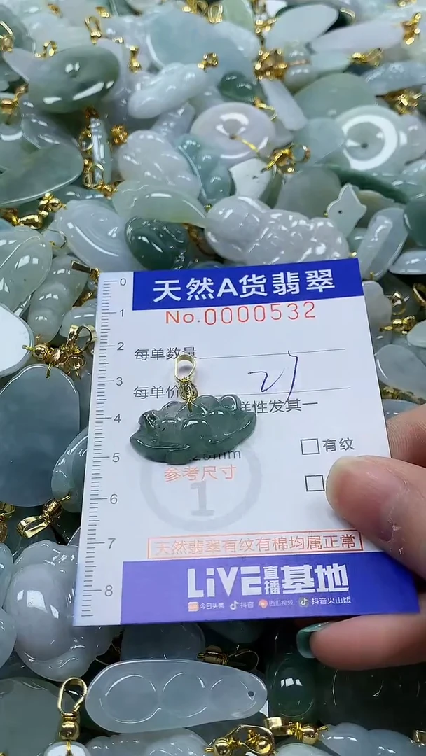 颈饰未镶嵌翡翠纯天然a货翡翠