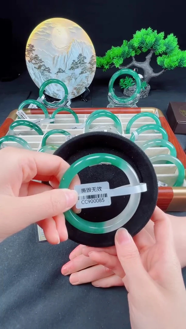 未镶嵌手镯石英质玉（非洲翠）真品上等纯天然非洲翠玉手镯石英质玉