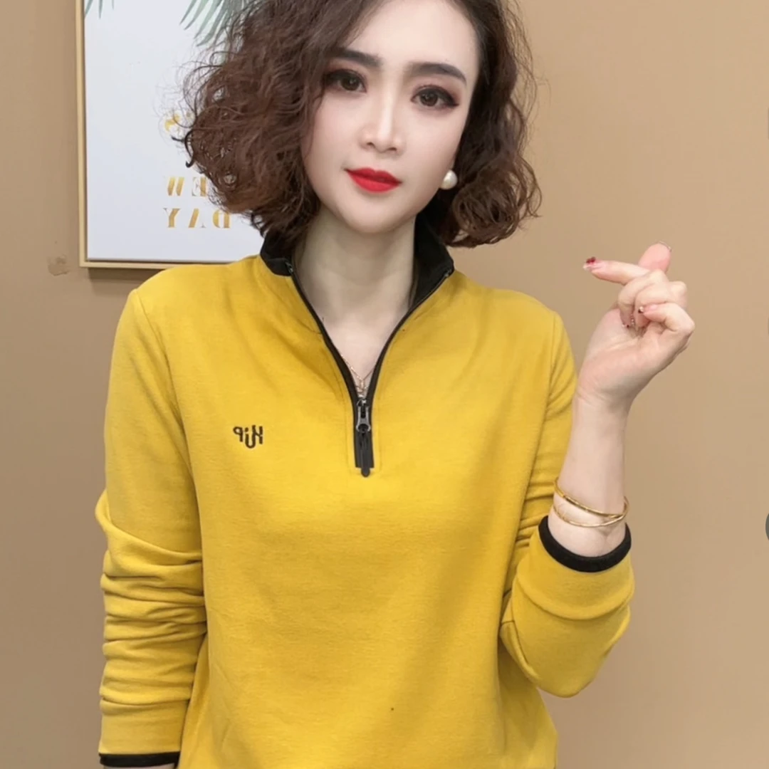 2024洋气刺绣保暖女人味T恤休闲时尚宽冬季显瘦翻领女士套头038#