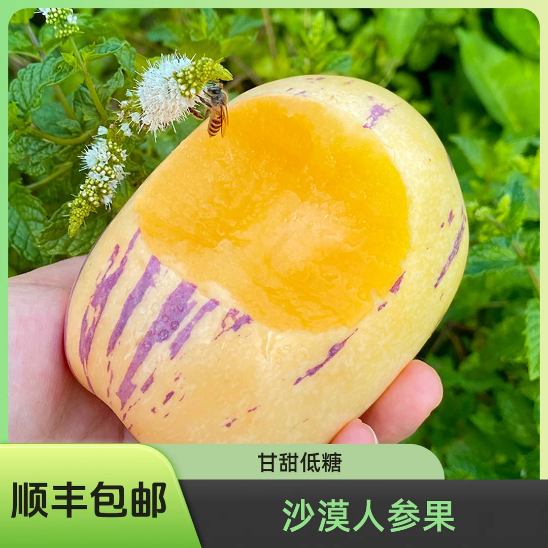 【顺丰包邮】甘肃民勤沙漠人参果低糖水果清甜坏果包赔中大果带箱装