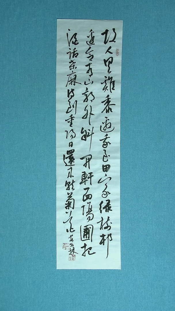 【闪购商品】书法203 甘肃安世林中书协91*24