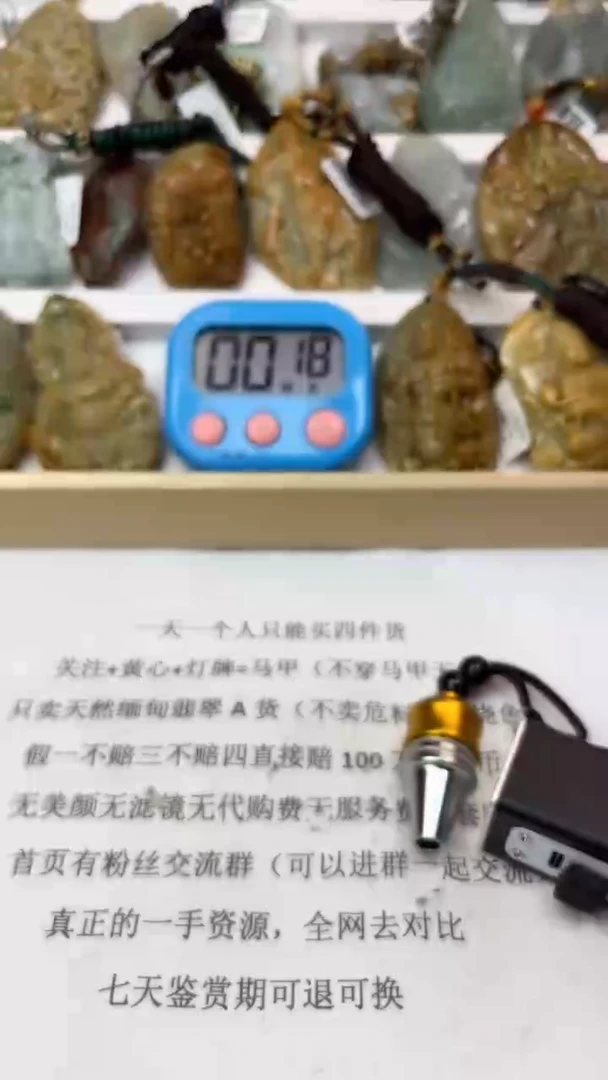 颈饰未镶嵌翡翠宁**远天然翡翠