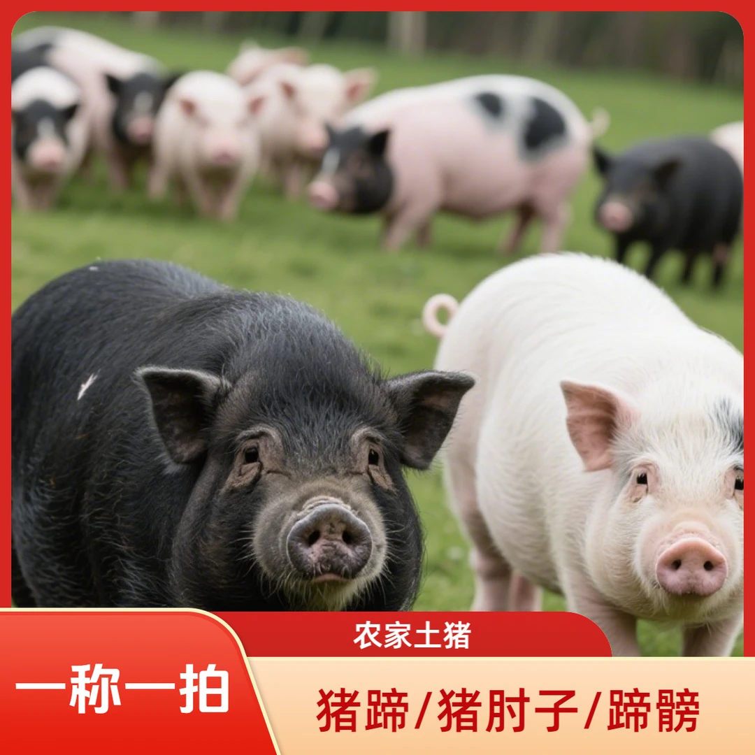 【5号 一称一拍】农家土猪猪棒骨猪蹄猪肘子猪蹄髈猪排骨猪脆骨蝴蝶肉猪骨类等