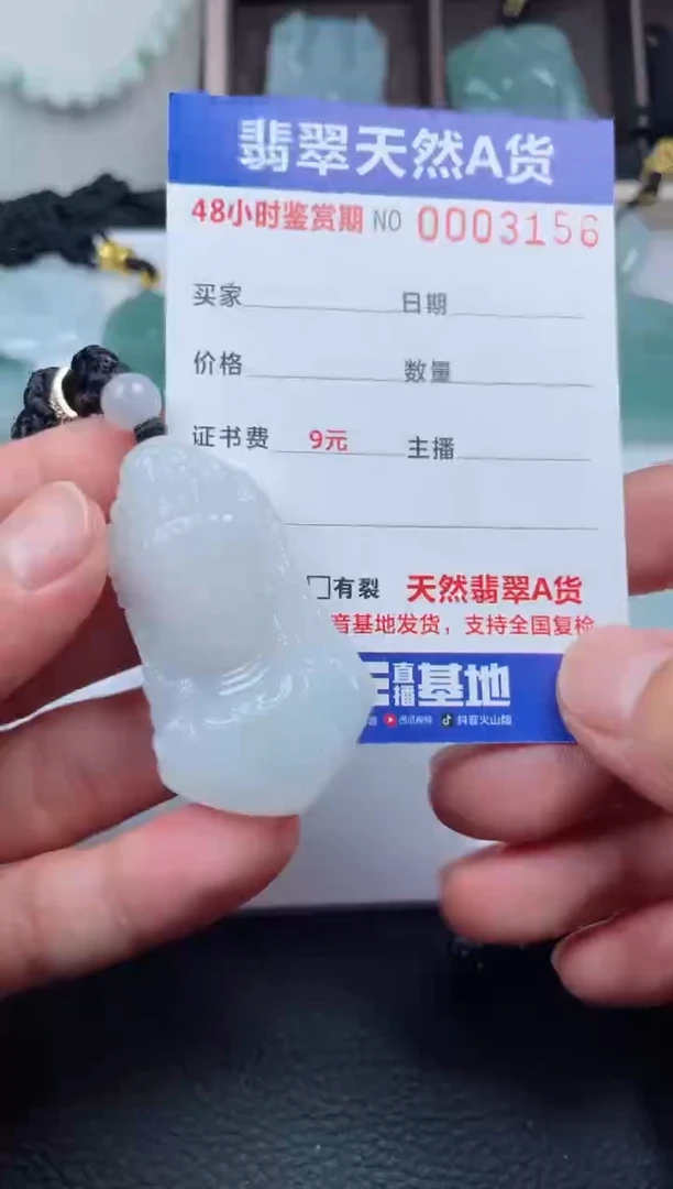 翡翠未镶嵌颈饰