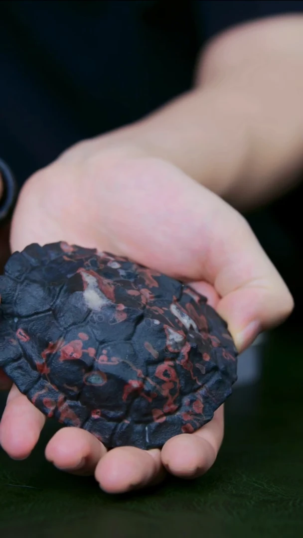 老师手工作品，一物一拍