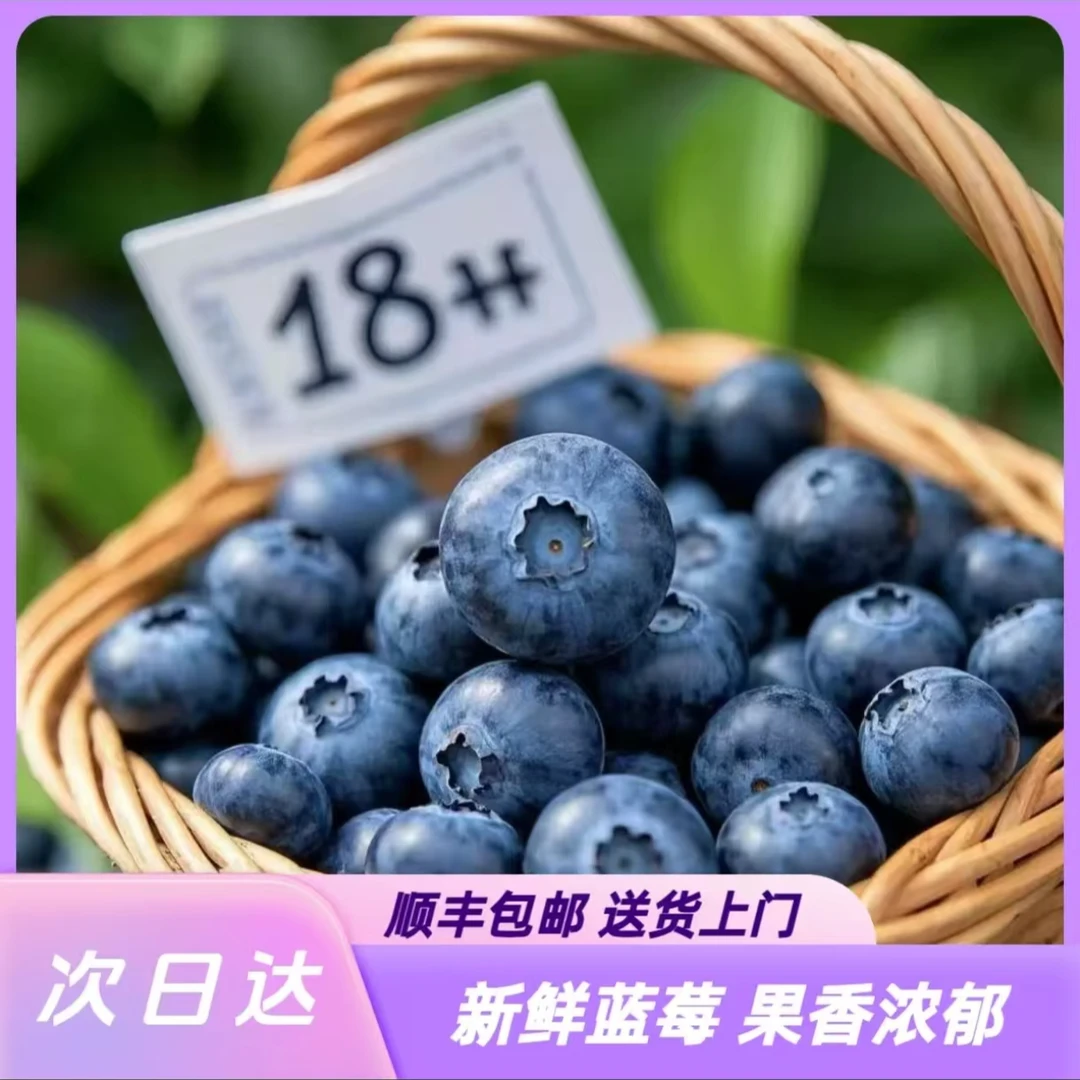 【疯狂蓝莓狂欢季】18mm+云南高山蓝莓脆爽爆汁酸甜口感肉感十足北京新发地顺丰包邮125g云南省