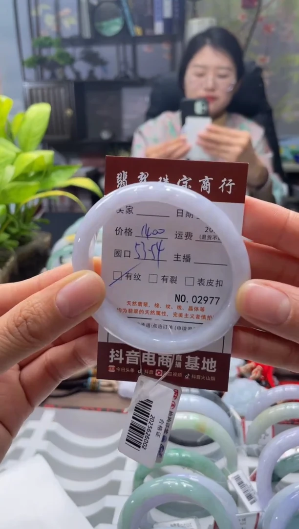 未镶嵌手镯翡翠2977