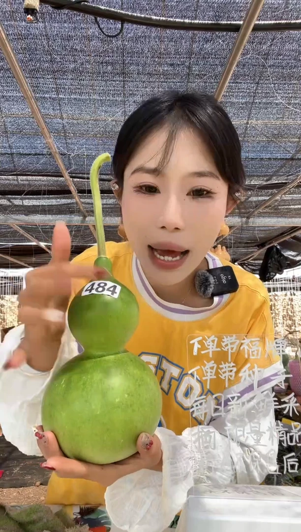 484天然葫芦摆件 一物一拍龙头不保售后