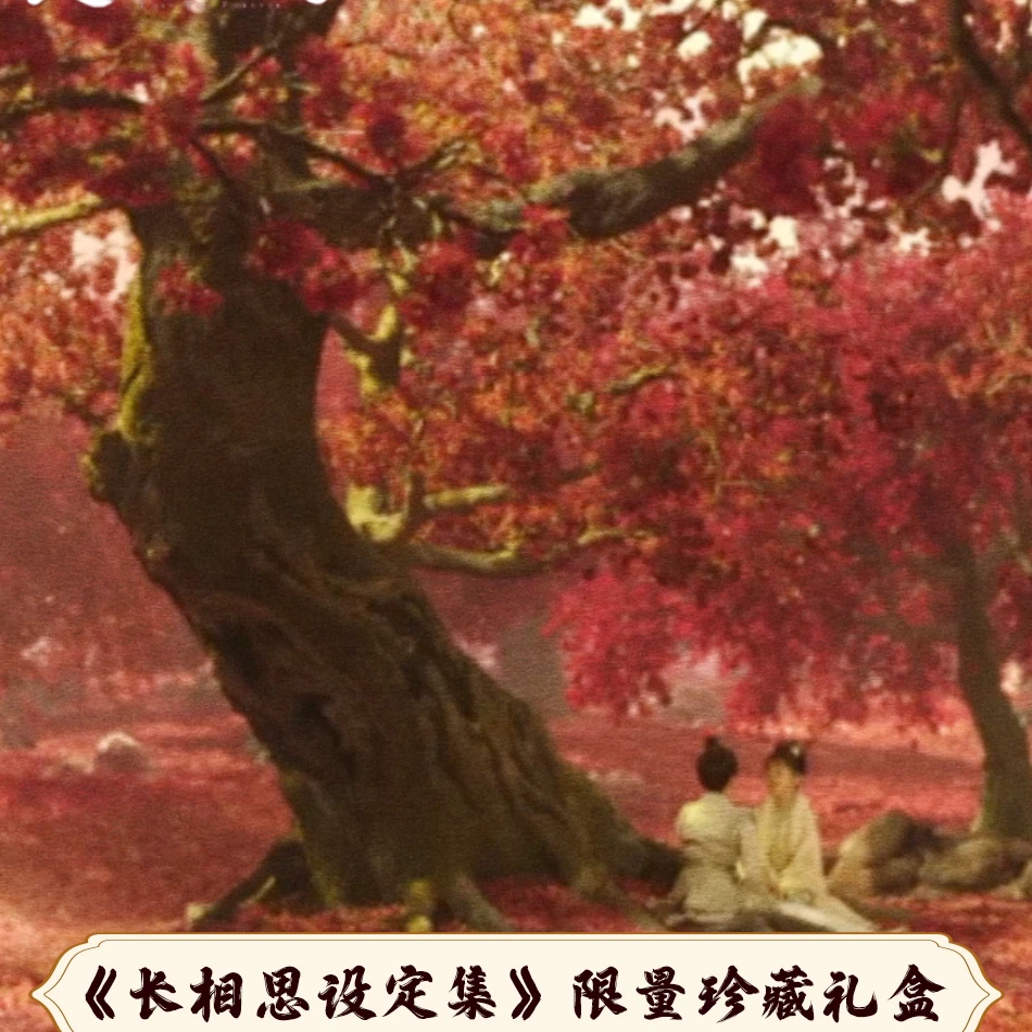 长相思设定集长相思设定集