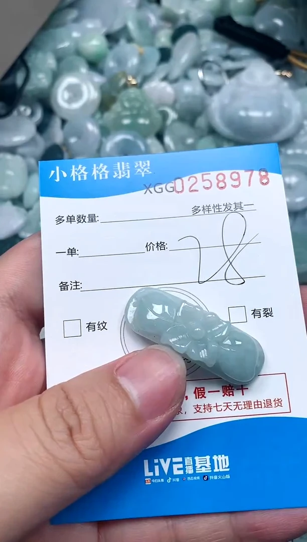 翡翠未镶嵌颈饰闪购商品0258978