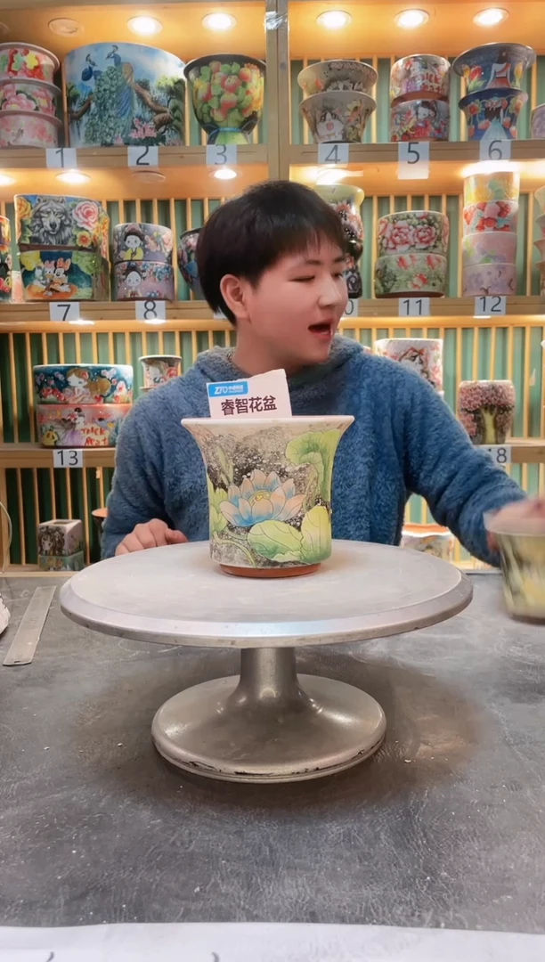 【闪购商品】瓷片默认微瑕一物一拍0215-095