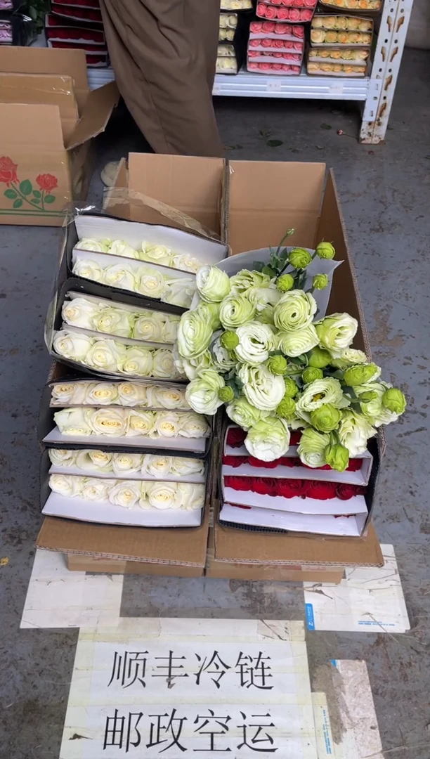 白雪山2扎+高原红1扎+绿桔梗800克