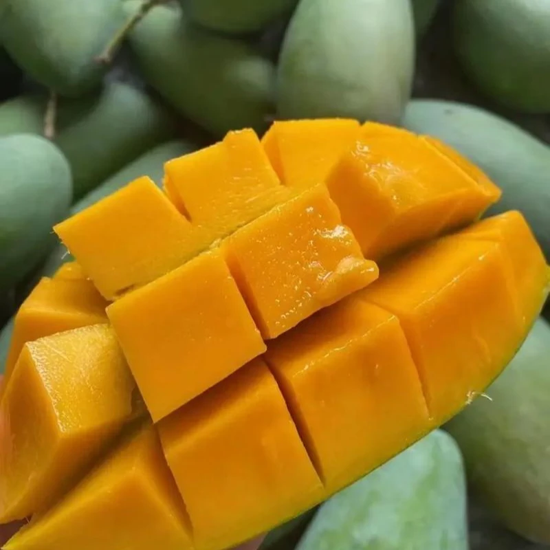 【周谷堆水果】大青芒净重4斤树上熟果肉细腻香甜多汁新鲜直达（12）