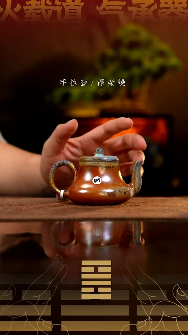 夸烧柴烧思君壶869