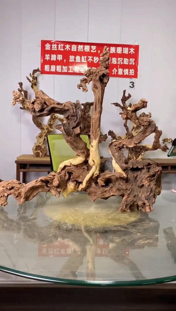 【闪购商品】木金丝红木 羊蹄甲 