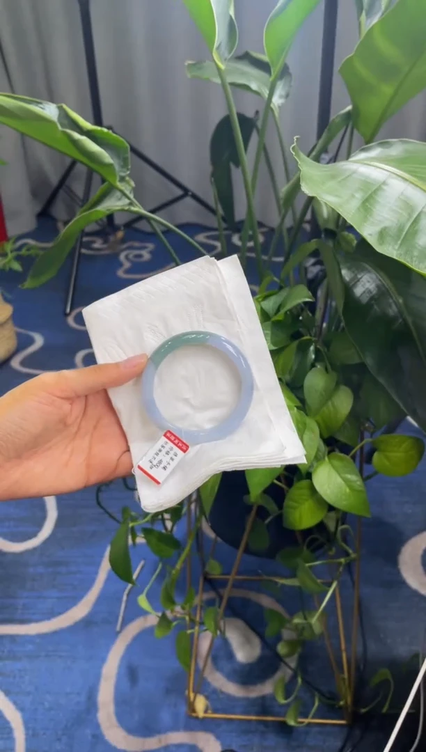 未镶嵌手镯翡翠6698****