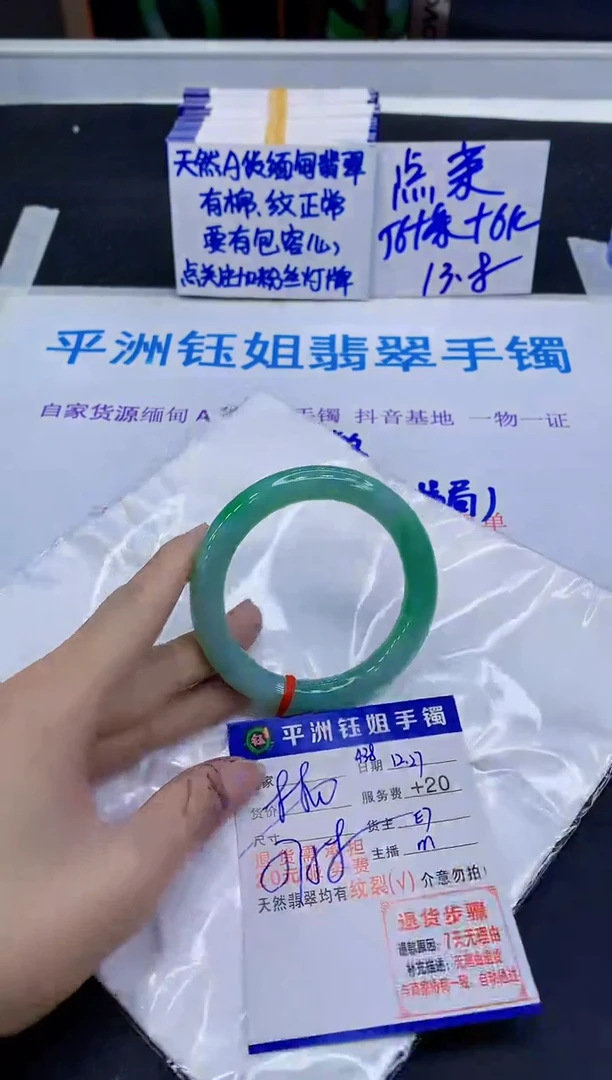 未镶嵌手镯翡翠11111
