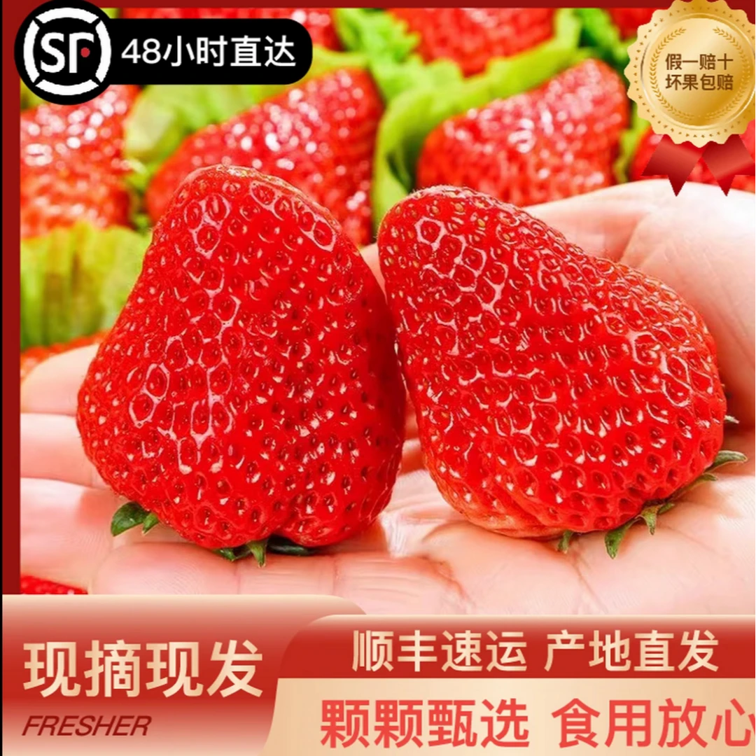 【顺丰包邮】正宗丹东九九牛奶大草莓核心产区现摘现发空运