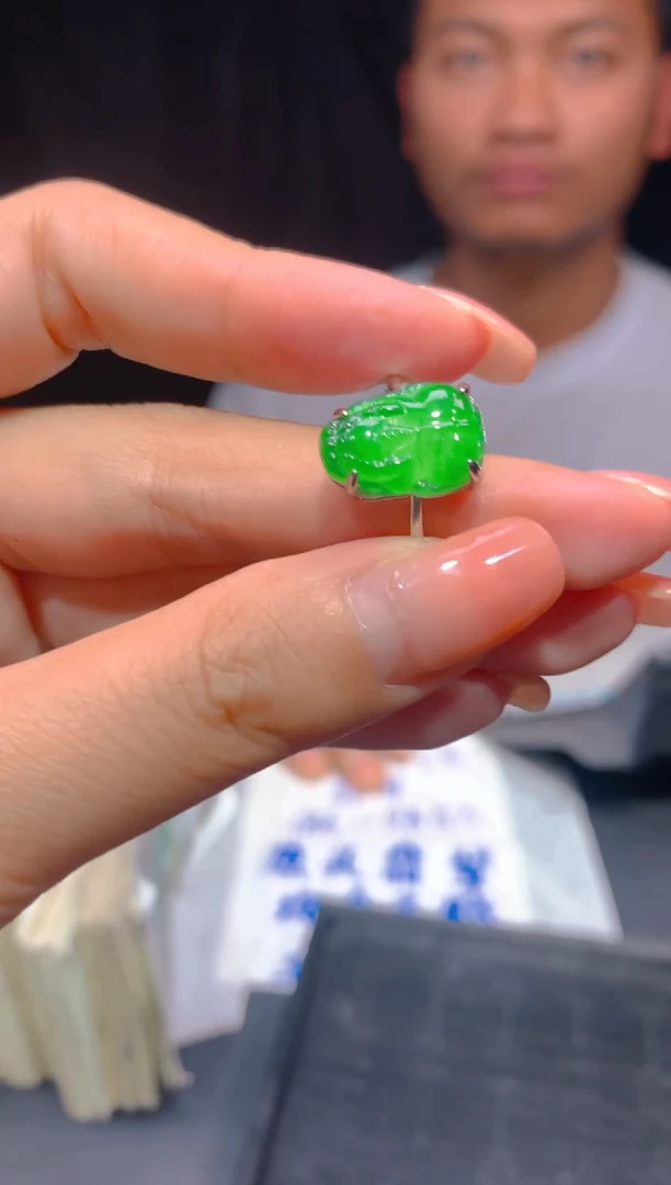 【闪购商品】定制翡翠未镶嵌36多样性发货（发其一）