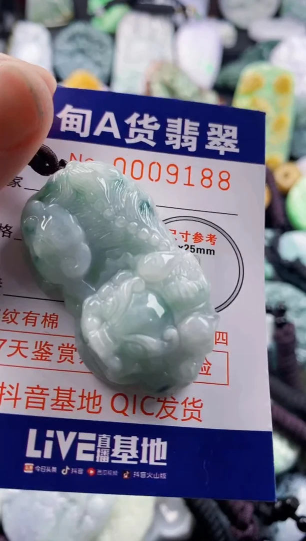 翡翠未镶嵌吊坠(不含链)1
