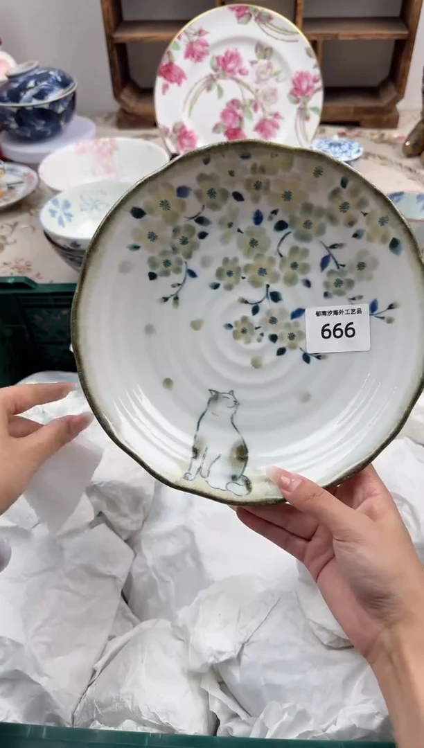 瓷片V           666