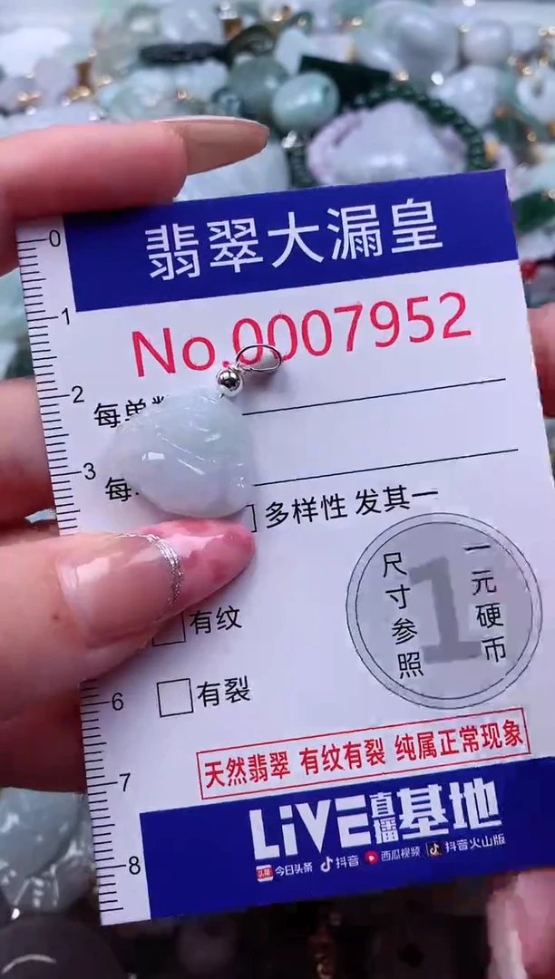 颈饰未镶嵌翡翠7952