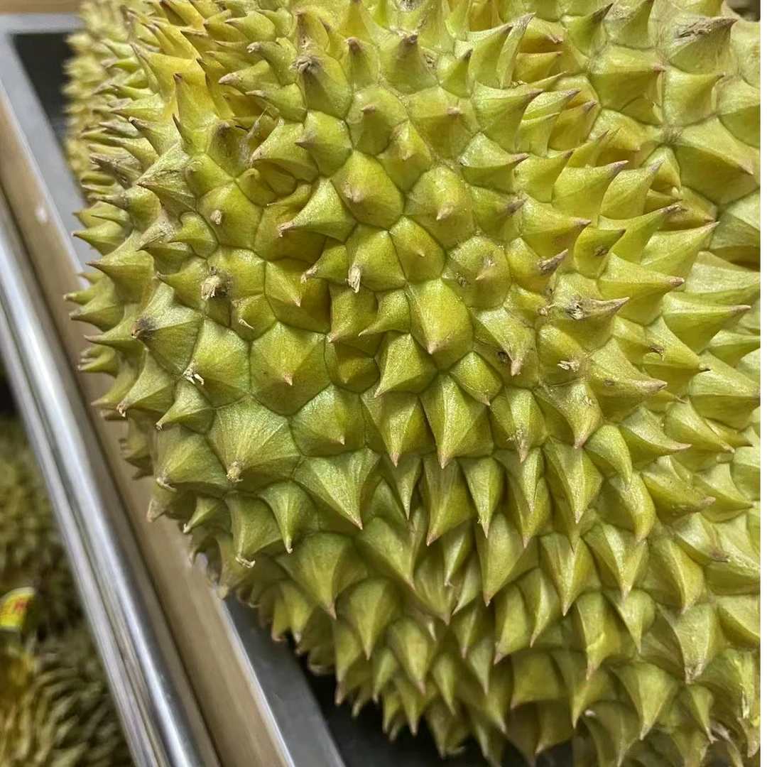 泰国新鲜金枕榴莲一斤 核小金枕泰国