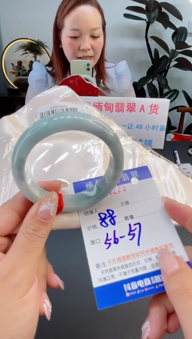 未镶嵌手镯翡翠88